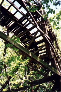 Chippewa Lake in Ohio 4